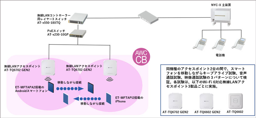 共同検証の概要図