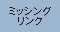 ミッシングリンク