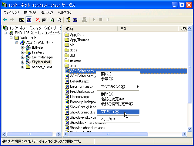 iis05_003.png